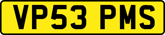 VP53PMS