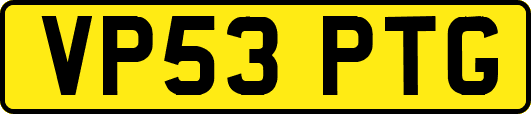 VP53PTG