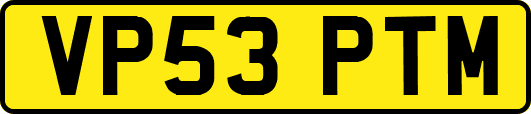 VP53PTM