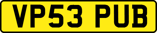 VP53PUB