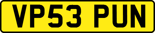VP53PUN