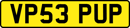 VP53PUP