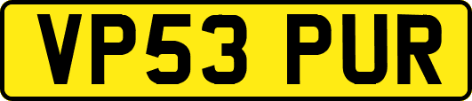 VP53PUR