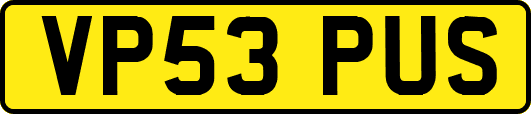 VP53PUS