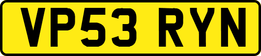 VP53RYN