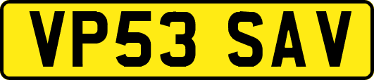 VP53SAV