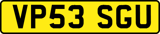 VP53SGU