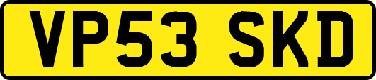 VP53SKD