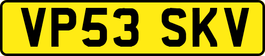 VP53SKV