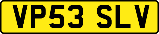 VP53SLV