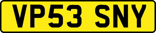 VP53SNY