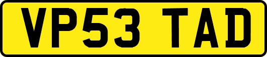 VP53TAD