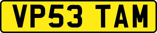 VP53TAM