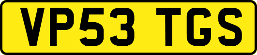 VP53TGS