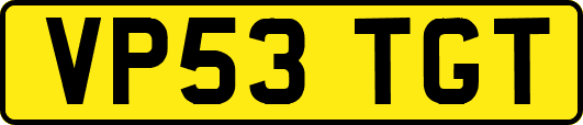 VP53TGT
