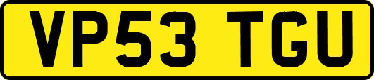 VP53TGU