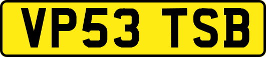 VP53TSB