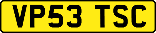 VP53TSC