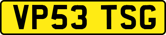 VP53TSG