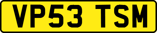 VP53TSM