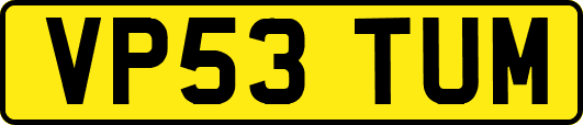 VP53TUM