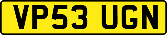 VP53UGN