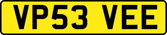VP53VEE