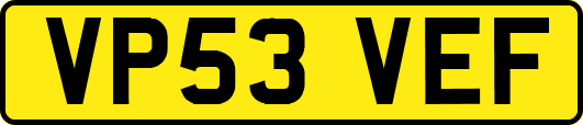 VP53VEF