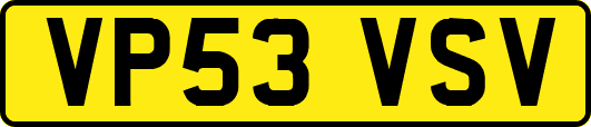 VP53VSV