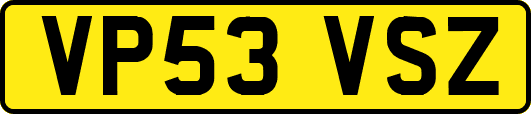 VP53VSZ