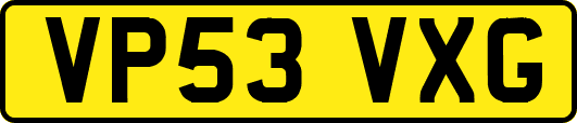 VP53VXG