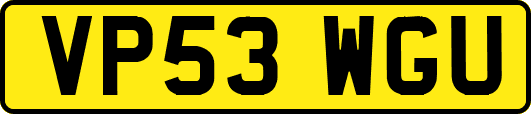 VP53WGU