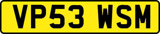 VP53WSM