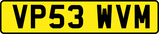 VP53WVM