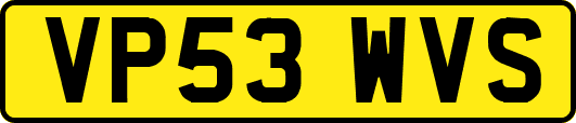 VP53WVS
