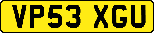 VP53XGU
