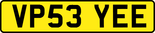 VP53YEE