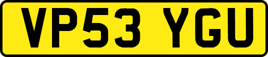 VP53YGU