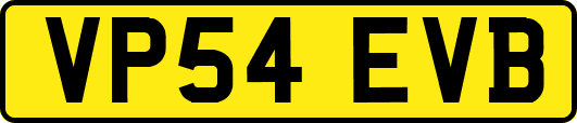VP54EVB