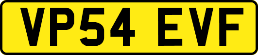 VP54EVF