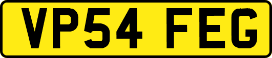 VP54FEG