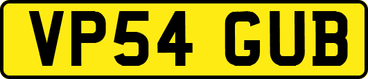 VP54GUB