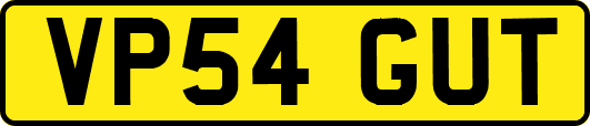 VP54GUT