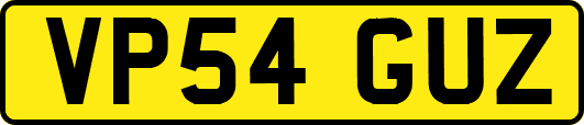 VP54GUZ