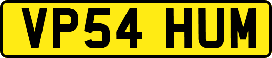 VP54HUM