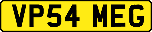 VP54MEG
