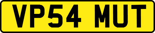 VP54MUT