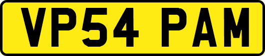 VP54PAM