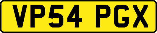 VP54PGX