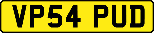 VP54PUD